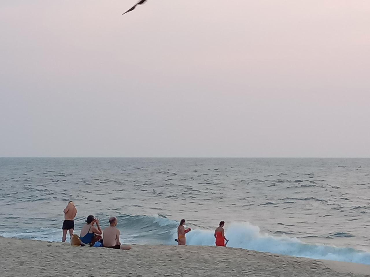 Marari Adonis Beach Villa Mararikulam Dış mekan fotoğraf